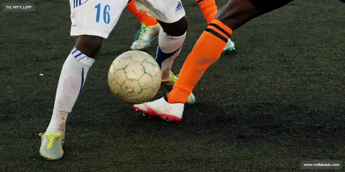 我们的生产规模